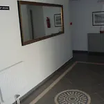 卡里斯酒店